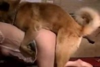 Toate filmele pentru eticheta : sex cu caini (16 videos)
